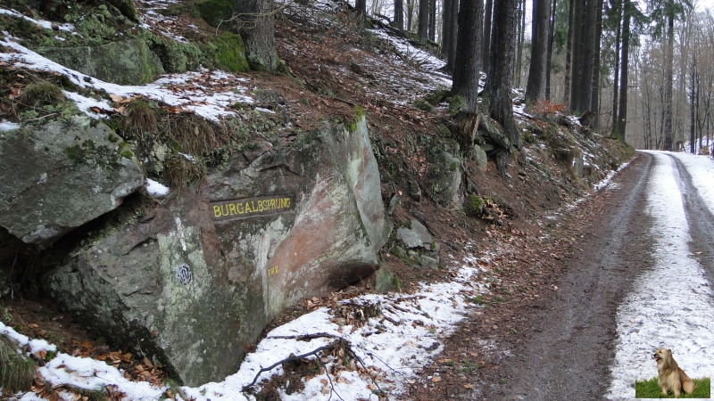 Ritterstein Nr. 101-4 Burgalbsprung.JPG - Ritterstein Nr.101  Burgalbsprung                               